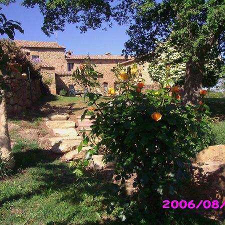 Villa Fonte All'Oppio Con Area Piscina Recintata 피엔자 외부 사진