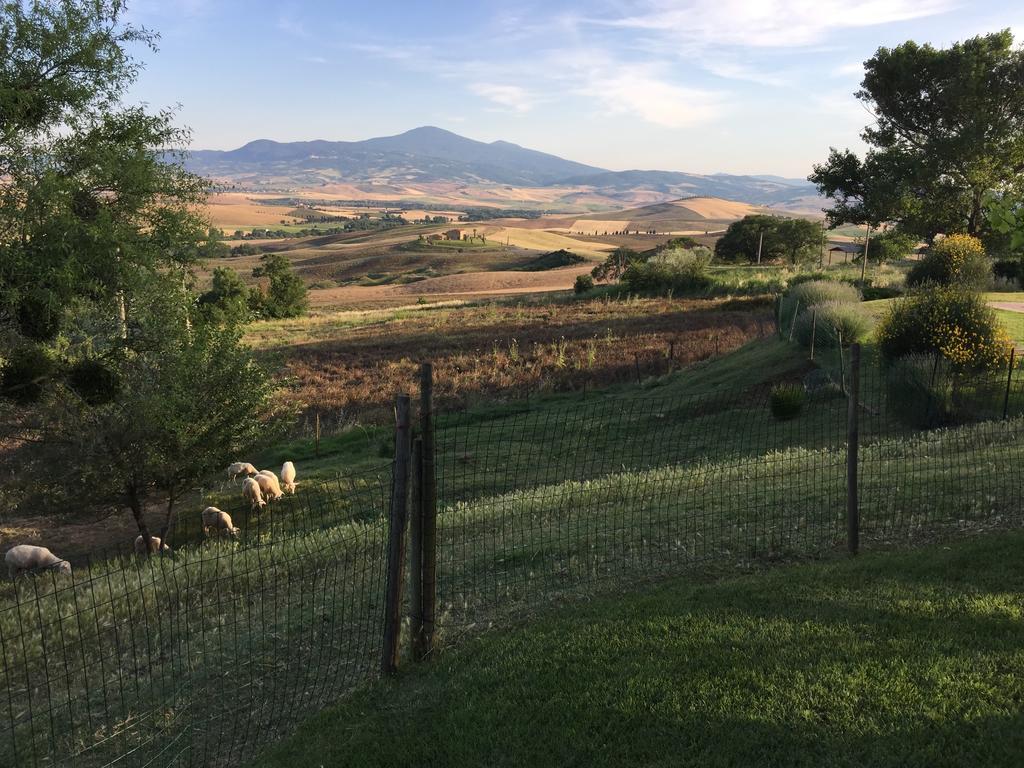 Villa Fonte All'Oppio Con Area Piscina Recintata 피엔자 외부 사진
