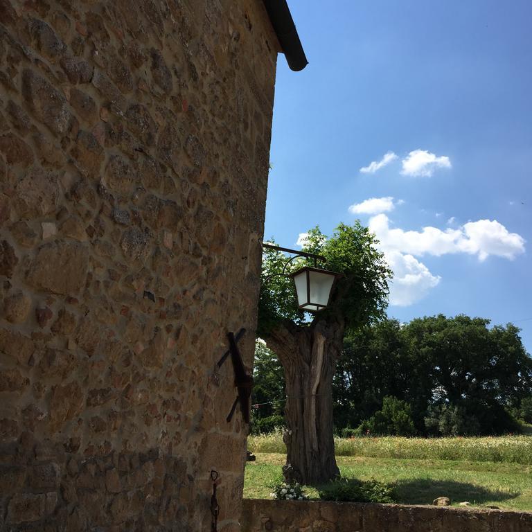 Villa Fonte All'Oppio Con Area Piscina Recintata 피엔자 외부 사진